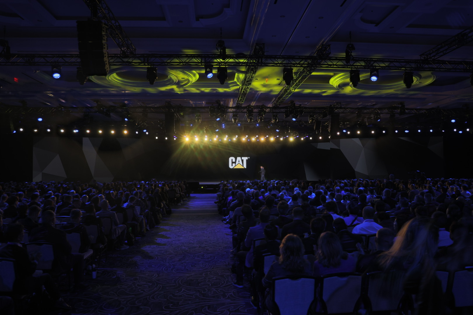 caterpillar-4.jpg